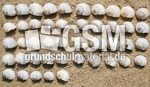 Schneckenhäuser-45.jpg
